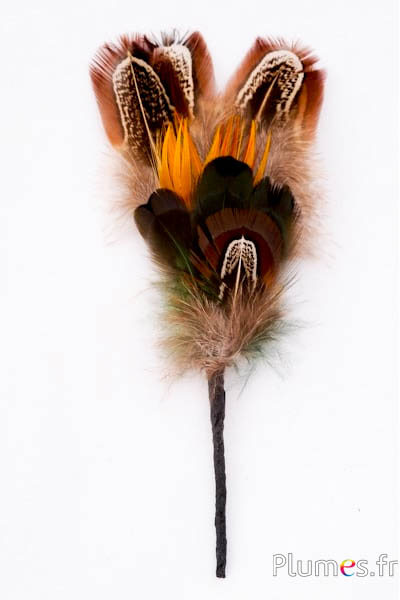 Composition en plumes n° 24 - longueur 15 cm - naturel